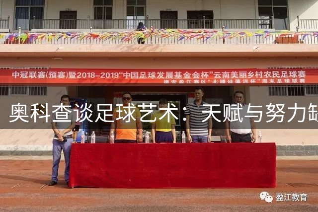 奥科查谈足球艺术：天赋与努力缺一不可